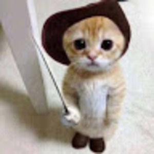 Meet your Posher, Isabella